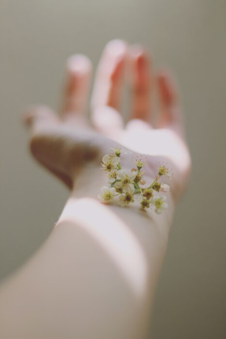 carolina-heza-zwPYmB1GlNE-unsplash Blume auf Hand