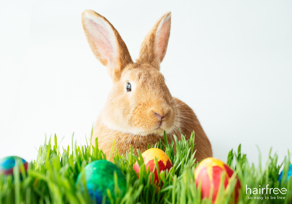 Hase hairfree ist vegan und Tierversuchsfrei